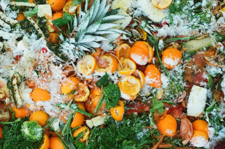 Composting-Organic Waste