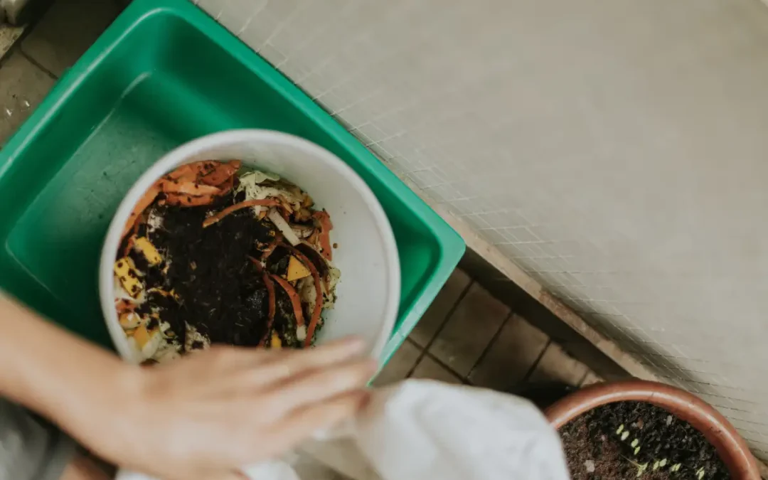 Compost Starter: What Goes In and How a Pile Gets Going