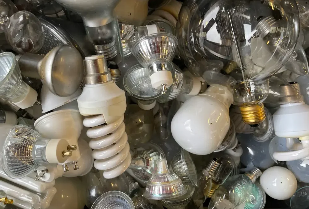 Home Depot Disposal of Fluorescent Bulbs: A pile of mixed bulb types — incandescent, halogen, and a spiral CFL — the mix that decides where each one can legally go